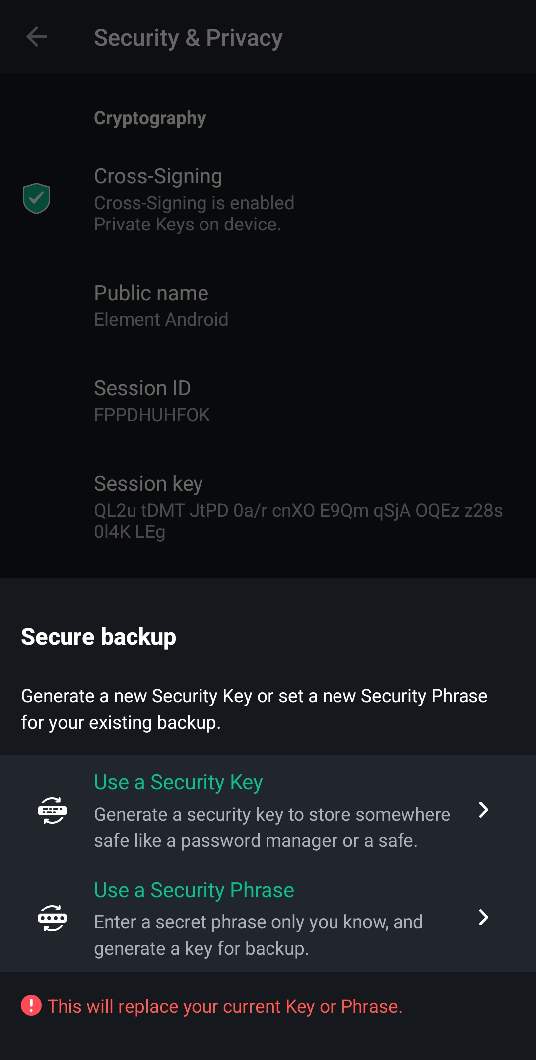 تصویر Secure Key