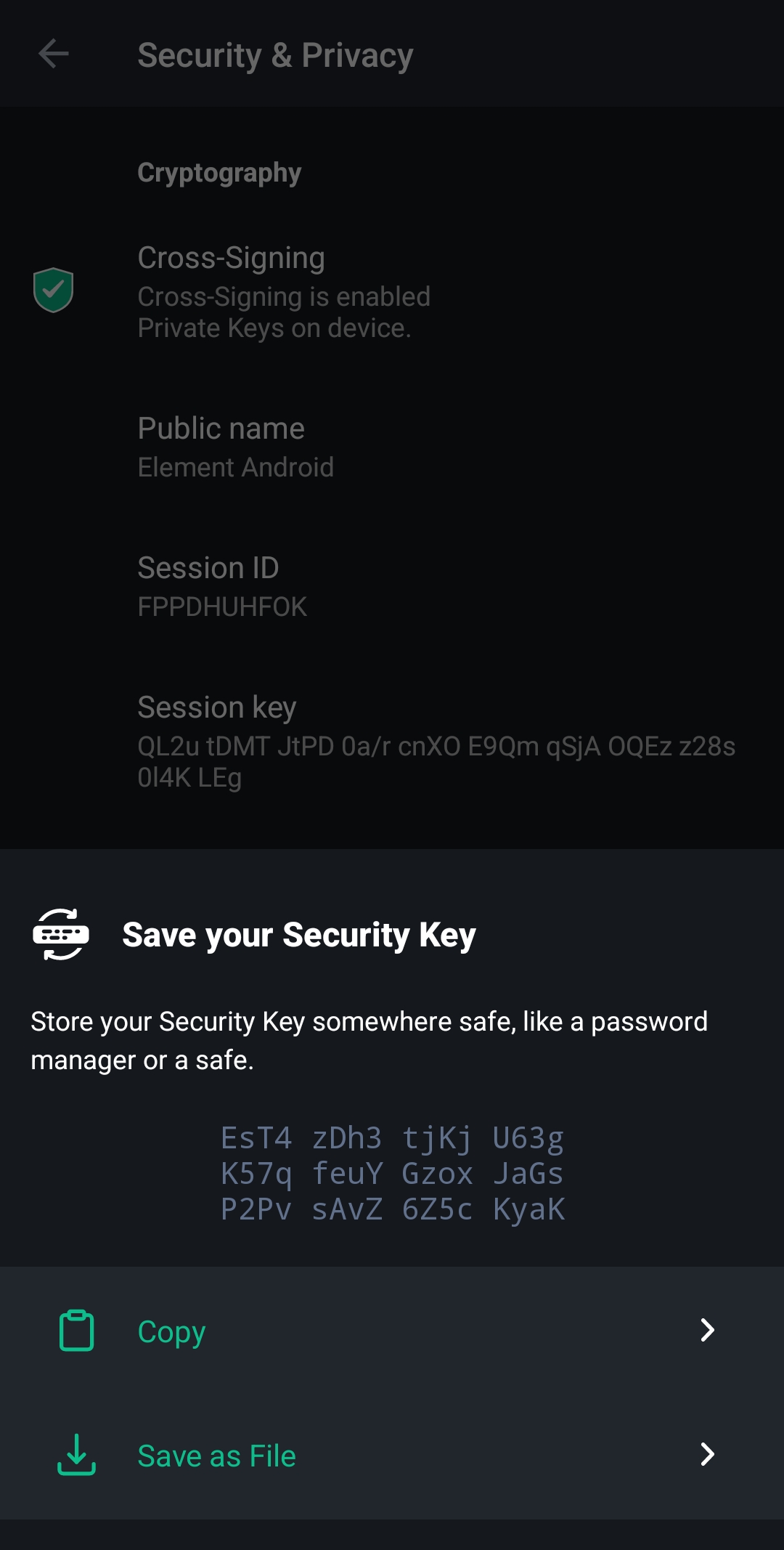 تصویر Secure Key